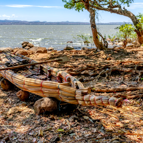 Papyrus Boot auf dem Tanasee in Bahir Dar, Äthiopien