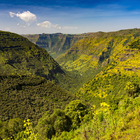 Blick auf die Simien Berge, Äthiopien