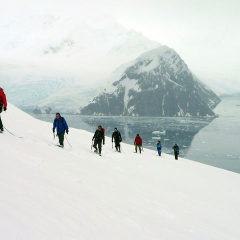 Wanderung durch den Schnee, Antarktis