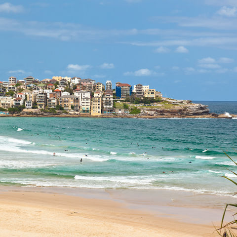 Bondi Beach Sydney, Australien