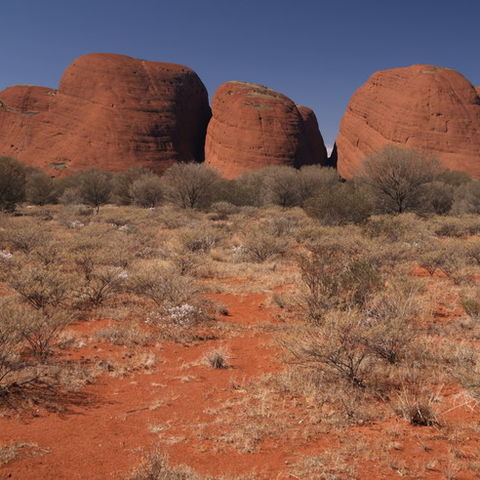 Die Olgas (Kata Tjuta) im Outback, Australien