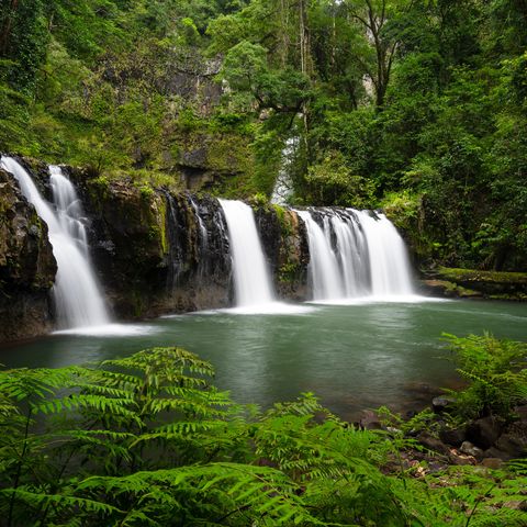 Das Rauschen der tropischen Wasserfälle, Australien