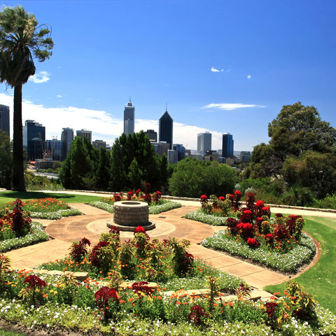 Kings Park in Perth mit Skyline dahinter, Australien