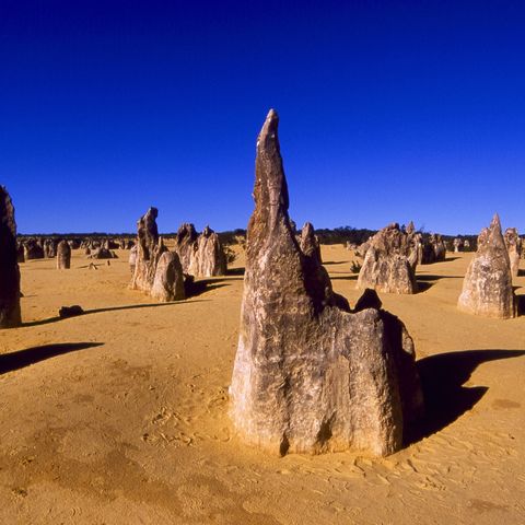 Die Pinnacles in Western Australia, Australien