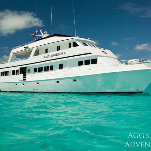 Yacht Aggressor III, Belize