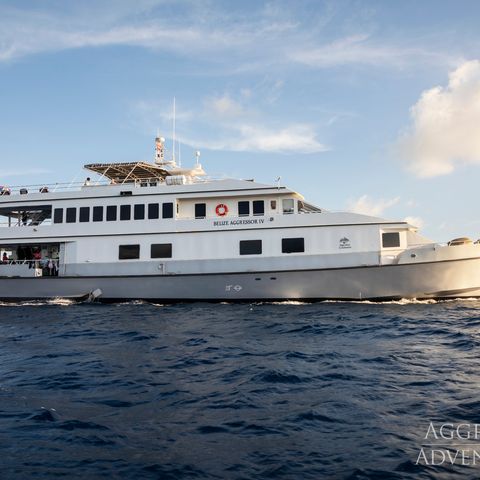 Yacht Aggressor IV, Belize