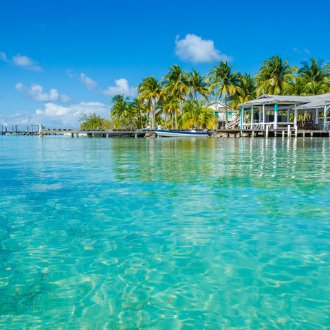 Caye Caulker, Belize Barrier Reef, Belize