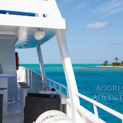 Insel im Lighthouse Reef, 