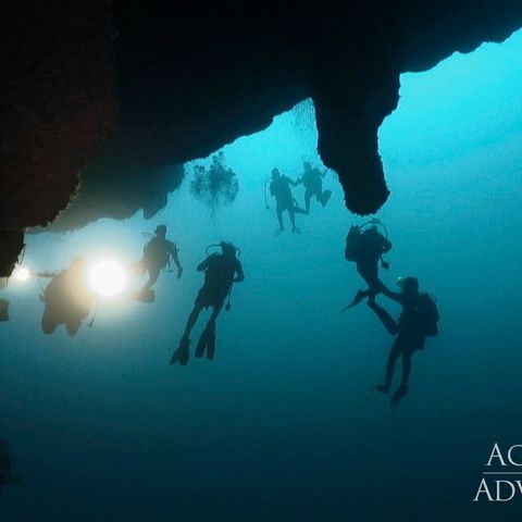 Tauchen im Belize Barrier Reef, 