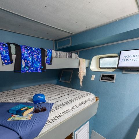 Deluxe Room Aggressor III, 