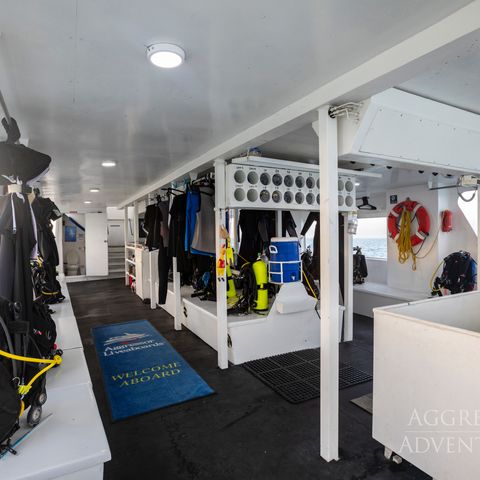 Divedeck Aggressor III, 