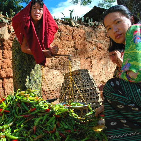 Frauen auf dem Markt, Bhutan