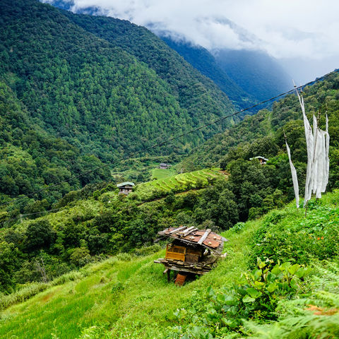 Ein Ausflug in den Himalaya!, Bhutan