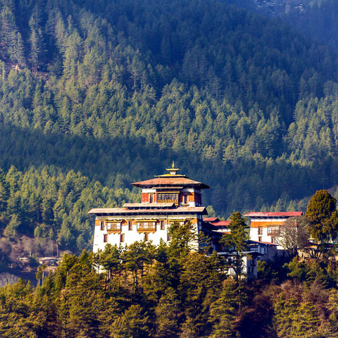 Der Dzong inmitten von Bäumen, Bhutan