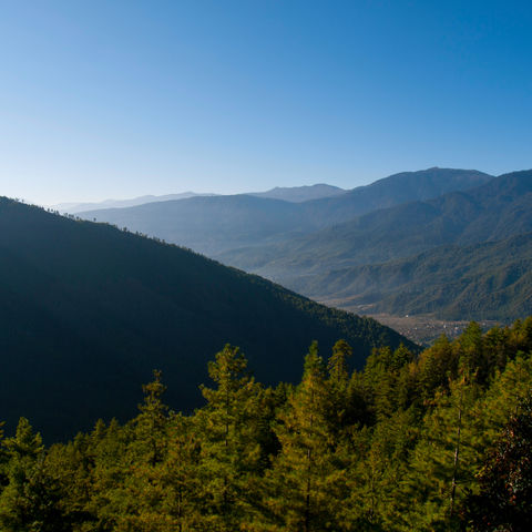 Tals des Paro Gebirges, Bhutan