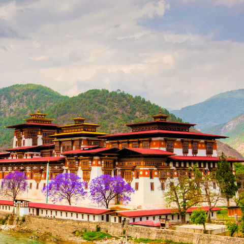 Das Punakha Dzong in der Sonne, Bhutan