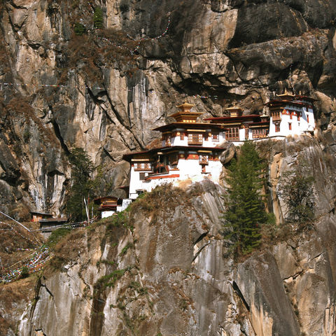 Das berühmte Tigernest-Kloster, Bhutan