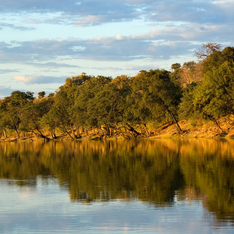 Chobe-Fluss, Botswana