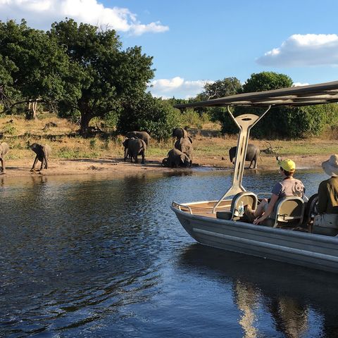 Pirschfahrt mit dem Boot im Chobe Nationalpark, Botswana