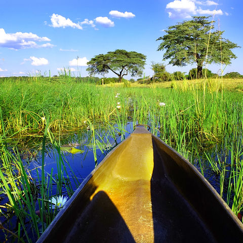 Kanutrip auf einem Mokoro, Botswana