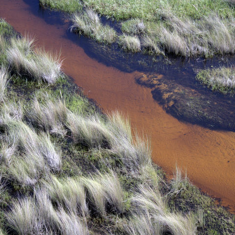 Ausläufer des Okavangodeltas, Botswana