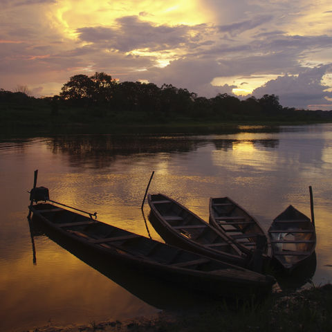 Sonnenuntergang über dem Amazonas, Brasilien