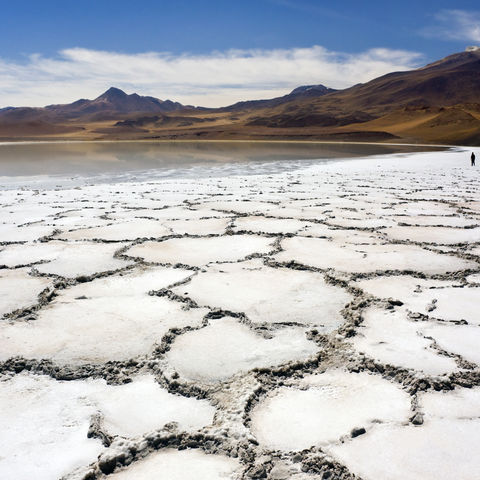 Tuyajto-Lagune und Salzkrusten, Chile