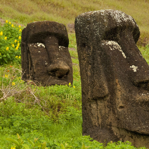 Moai-Köpfe auf der Osterinsel, Chile