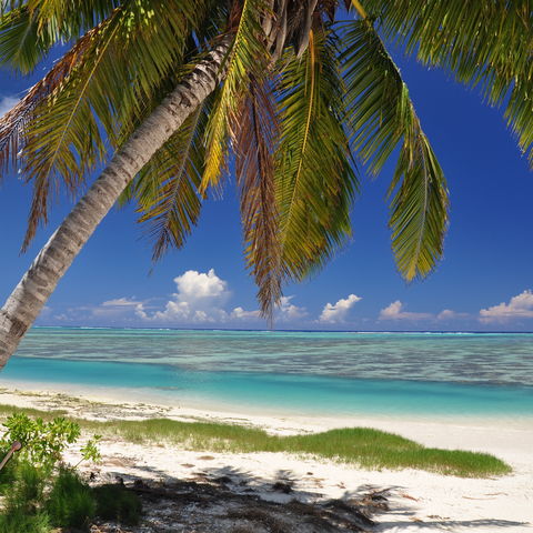 Strand auf Aitutaki, Cook Inseln
