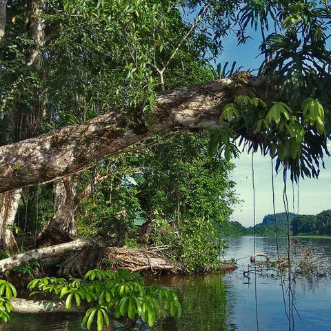 Idyllische Flussandschaft, Costa Rica