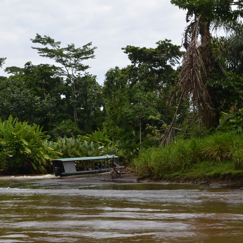 Bootsfahrt im Caño-Negro-Schutzgebiet, Costa Rica