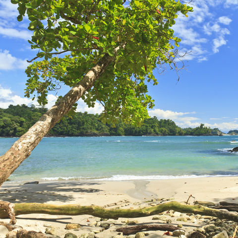 Strand Manuel Antonio, Costa Rica