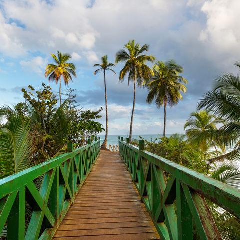 Steg an der tropischen Pazifikküste, Costa Rica