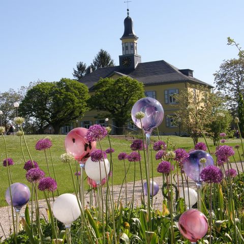 Blühende Pflanzen @ NEUEWEGE #TITEL 1: Im Garten relaxen... #TITEL 2: Großer Garten lädt zum Entspannen ein, Ayurveda