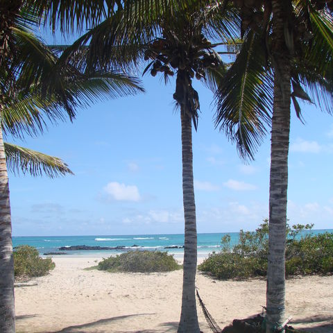 Ein einladender Strand der Galapagos Inseln, Ecuador