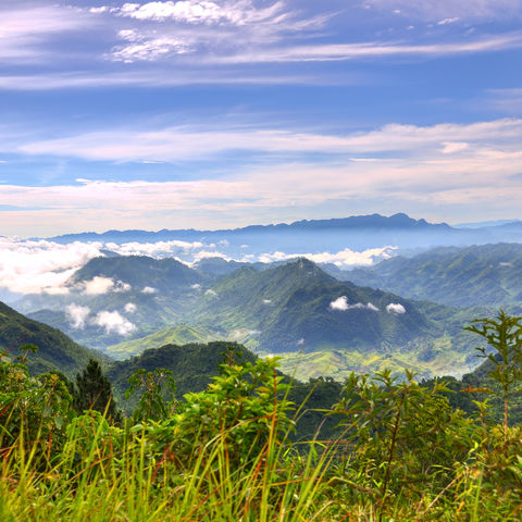 Grüne Wiesen treffen auf morgendliche Nebelschwaden und Bergwipfel © Hugoht, Dreamstime.com #TITEL 1: Grüne Wiesen treffen auf morgendliche Nebelschwaden und Bergwipfel #TITEL 2: Irgendwo im Hochland Guatemalas