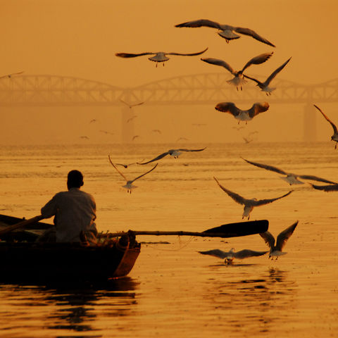 Fischer auf dem Ganges bei Sonnenuntergang, Indien