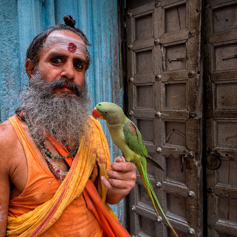 Mann in einem orangenen Sari mit einem Papagei, Varanasi, Indien