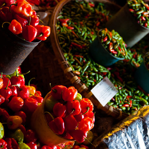 Rote Chilis auf dem Markt, Indonesien