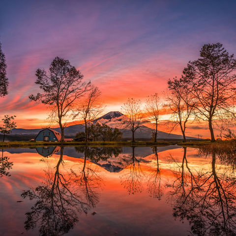 Mt. Fuji bei Sonnenaufgang, Fujinomiya, Japan