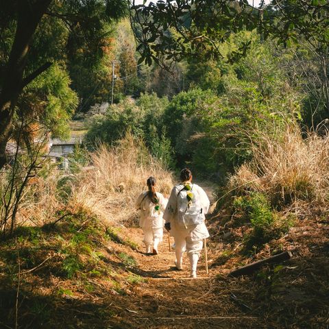 Wandern auf dem Kumano Kodo in Japan@Kieran 
 
Unsplash, 