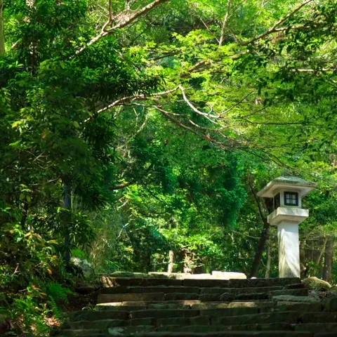 Wandern auf dem Kumano Kodo Pilgerweg in Japan@_JNTO, 