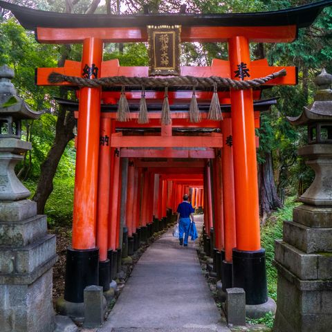Füchse zählen in Kyotos Fushimi Inari Schrein@Shai Pal Unsplash, 