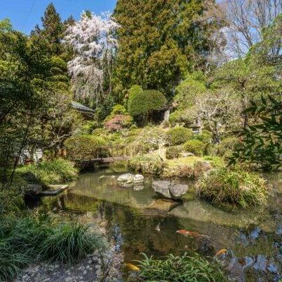 Der Tempelgarten von Kakurinb@Kakurinbo, 