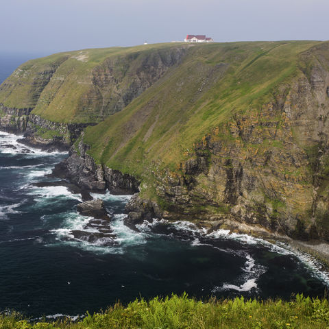 Steilküste von Cape St. Marys, Kanada