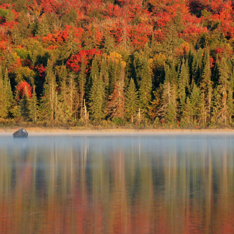 Herbststimmung im Algonquin-Nationalpark, Kanada