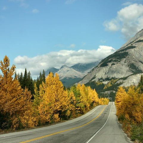 Icefields Parkway, Kanada