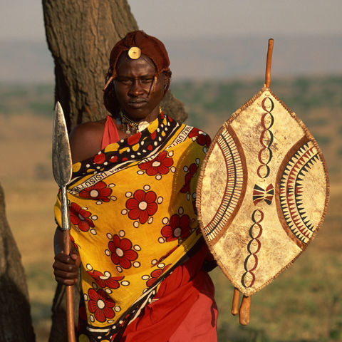 Afrikanischer Jäger, Kenia