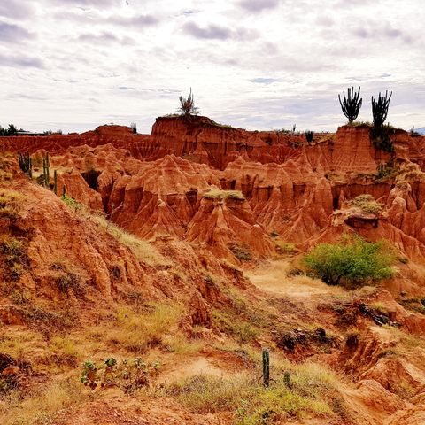 Die rote Landschaft der Tatacoa Wüste, 