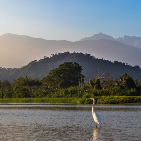 Idylle des Tayrona Nationalparks, 